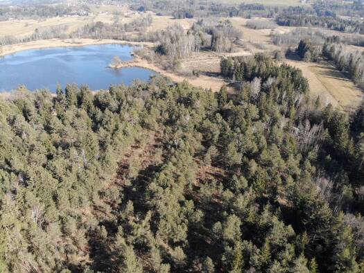 Land-/Forstwirtschaft zum Kauf 75.500 € 5.088 m² Grundstück Zillham Schonstett 83137