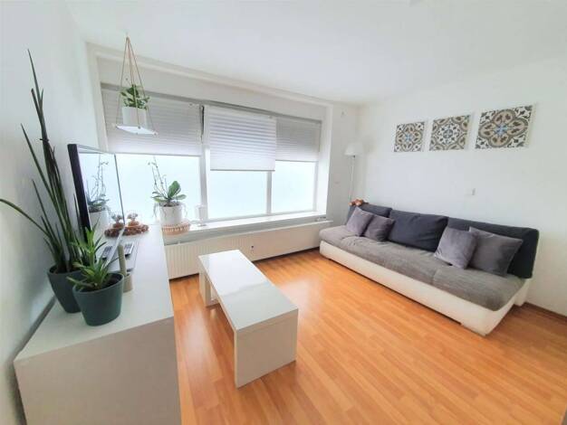 Wohnung zur Miete 260 € 1 Zimmer 25 m² frei ab 01.01.2026 Coburg 96450