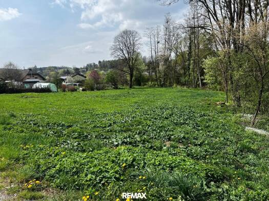 Grundstück zum Kauf 35.500 € 1.776 m² Grundstück Neuberg im Burgenland 7537