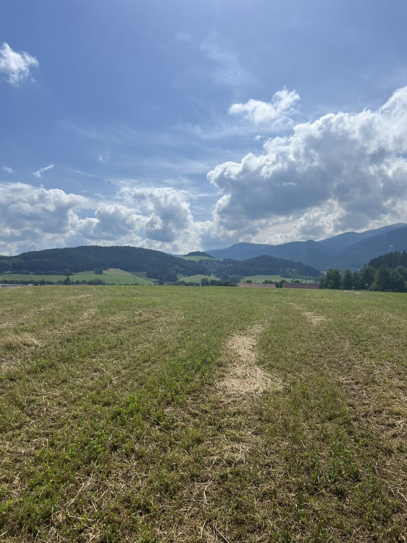 Land-/Forstwirtschaft zum Kauf 20.000 m²<br/>Grundstück Weißkirchen in Steiermark 8741