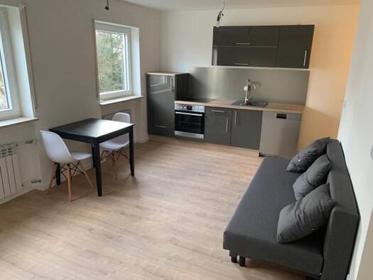 Wohnung zur Miete 550 € 1 Zimmer 30 m² Breite Straße Röthenbach Röthenbach an der Pegnitz 90552