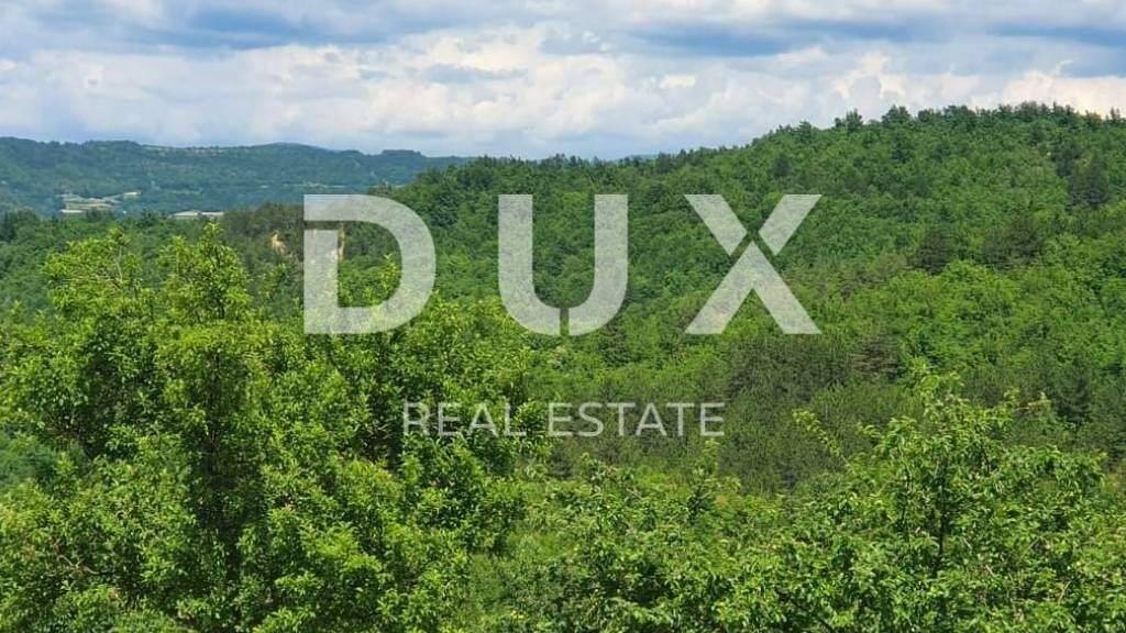 Land-/Forstwirtschaft zum Kauf 390.000 € Pazin