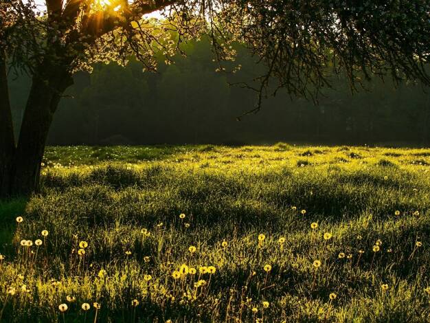 Einfamilienhaus zum Kauf 998.824 € 5 Zimmer 161 m² 1.300 m² Grundstück Byfang Essen 45257