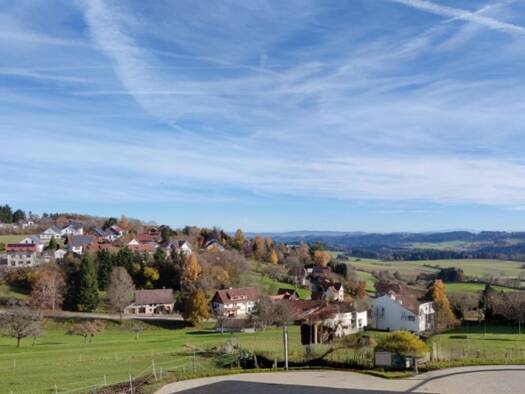 Bauernhaus zum Kauf 230.000 € 7 Zimmer 104 m² 599 m² Grundstück frei ab 01.02.2026 Göschweiler Löffingen 79843