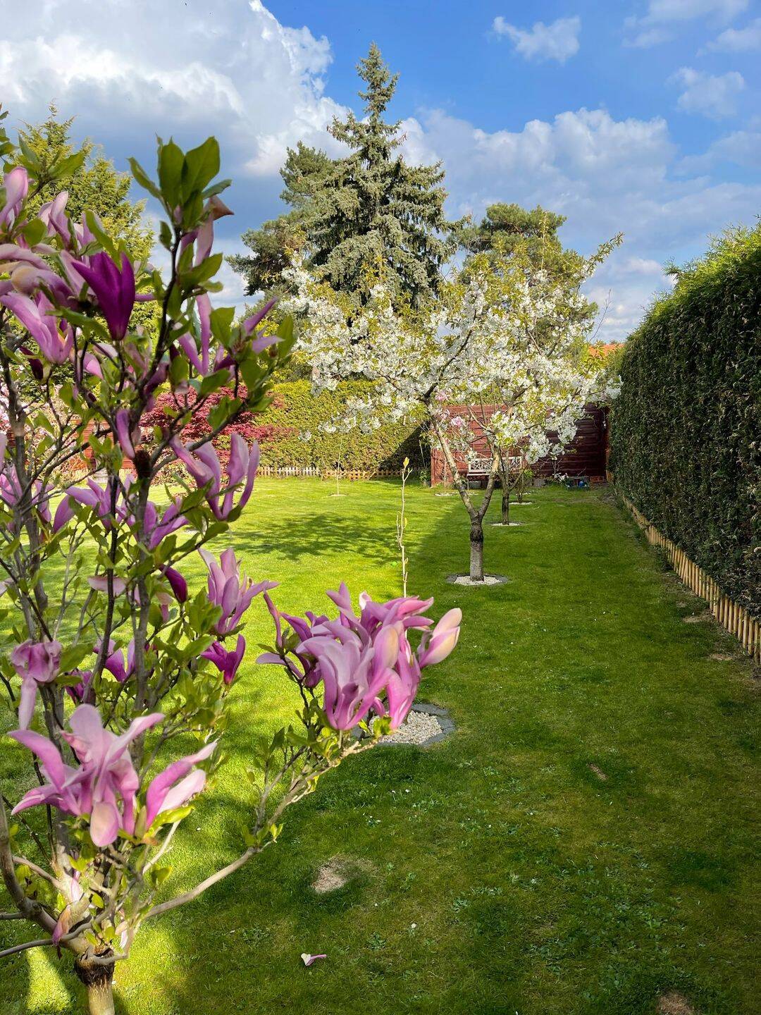 Property thumbnail 30