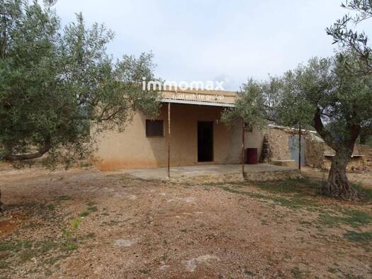 Acker-/Waldstück zum Kauf 66.000 € Xerta 43592