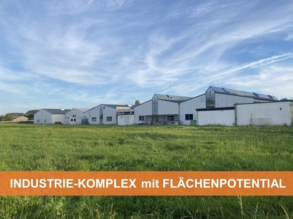 Produktionshalle zum Kauf 1.200.000 € 4.012 m²<br/>Lagerfläche Seelbach Seelbach 56377