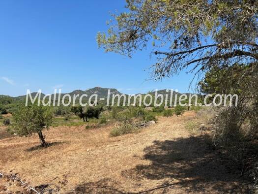 Grundstück zum Kauf provisionsfrei 590.000 € 23.000 m² Grundstück es carritxo mallorca