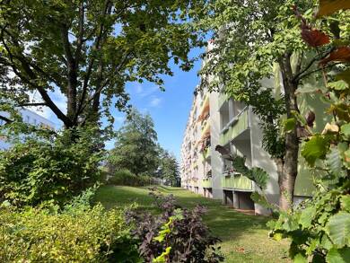 Wohnung zur Miete 270 € 3 Zimmer 57,3 m² 5. Geschoss Irkutsker Straße 239 Kappel 821 Chemnitz 09119