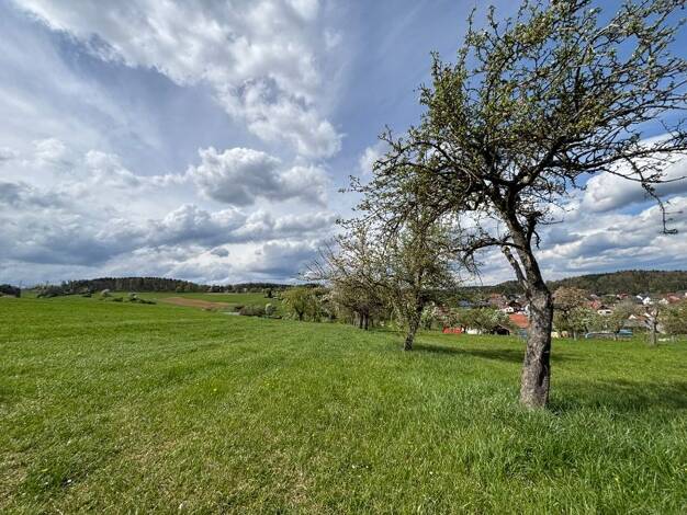 Grundstück zum Kauf 13.060 € 2.612 m² Grundstück Mauenheim Immendingen 78194