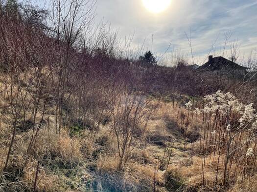 Grundstück zum Kauf 6.700 m² Grundstück Bovenden Bovenden 37120