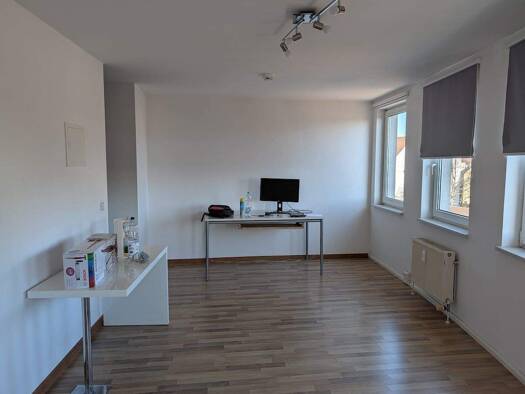 Wohnung zur Miete 410 € 1 Zimmer 31 m² 3. Geschoss frei ab sofort Zerzabelshof Nürnberg 90478