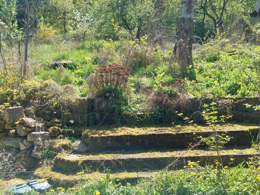 Einfamilienhaus zum Kauf 39.000 € 3 Zimmer 119 m² 1.400 m² Grundstück frei ab 01.05.2026 Waldstraße 59 Wernrode Wolkramshausen 99735