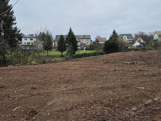 Grundstück zum Kauf 60.000 € 923 m² Grundstück Stennweiler Schiffweiler 66578