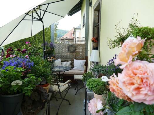 Wohnung zur Miete 1.390 € 3 Zimmer 101,8 m² Radebeul 01445