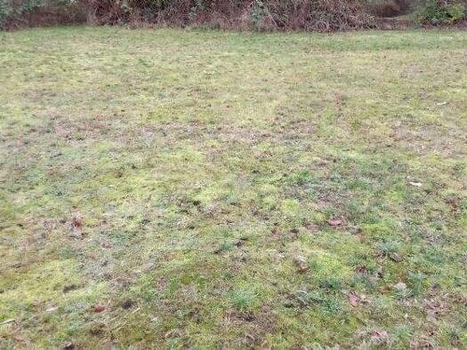 Grundstück zum Kauf provisionsfrei 115.000 € 640 m² Grundstück Waddenhausen Lage 32791