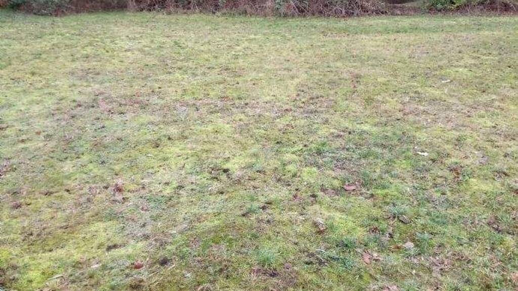 Grundstück zum Kauf provisionsfrei 115.000 € 640 m² Grundstück Waddenhausen Lage 32791