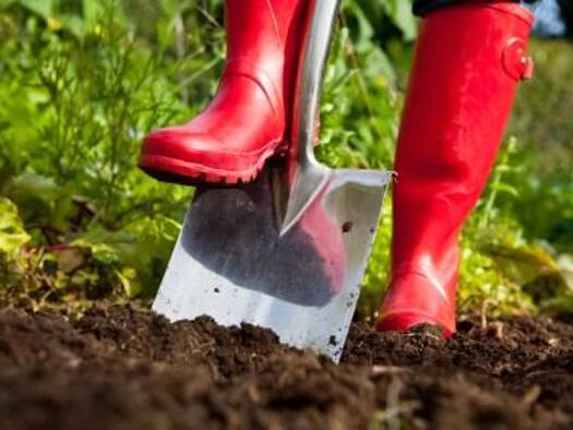 Einfamilienhaus zum Kauf 169.000 € 4 Zimmer 700 m² Grundstück Horsten Friedeburg 26446