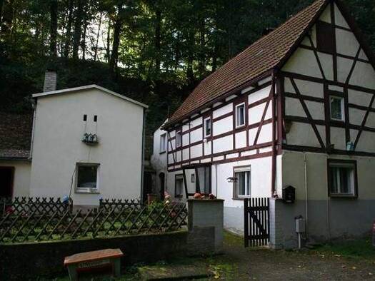 Bauernhaus zum Kauf 65.000 € 100 m² 1.548 m² Grundstück frei ab sofort Waldstraße 8 Neuhirschstein Hirschstein 01594
