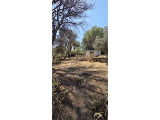 Acker-/Waldstück zum Kauf 75.000 € San Martín de Valdeiglesias 28680