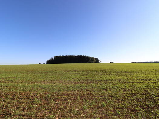Grundstück zum Kauf 159.000 € 3.620 m² Grundstück Münsingen Münsingen / Bremelau 72525
