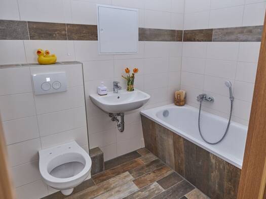 Wohnung zur Miete 427 € 3 Zimmer 68,7 m² 1. Geschoss Am Hirtenberg 12 Hohenmölsen 06679