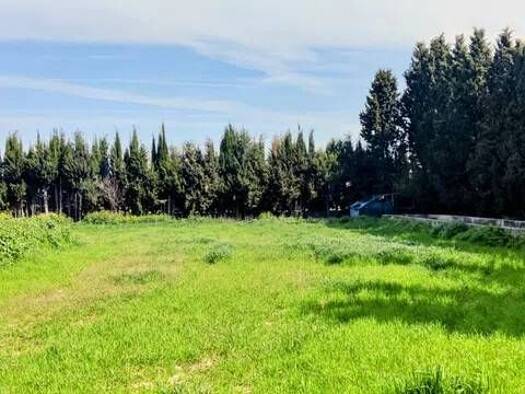 Bauernhaus zum Kauf 250.000 € 3 Zimmer 1.000 m² Belicena Vegas del Genil 18101
