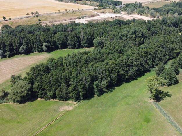 Forstwirtschaft zum Kauf provisionsfrei 163.358 € Ziegeleiweg Kossen Jesewitz 04838