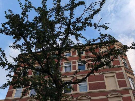 Mehrfamilienhaus zum Kauf 700.000 € 15 Zimmer 421 m² frei ab sofort Werdervorstadt Schwerin 19055