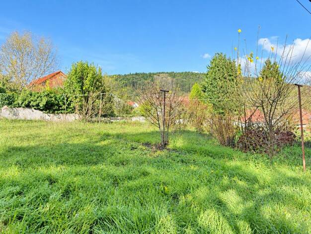 Grundstück zum Kauf 268.000 € 1.054 m² Grundstück Rechtenbach Schweigen-Rechtenbach 76889