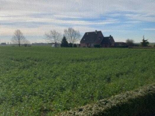 Wohnung zur Miete 470 € 1 Zimmer 25 m² EG frei ab sofort Schleuerweg 1a Kollmar 25377