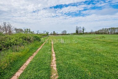 Land-/Forstwirtschaft zum Kauf 85.000 € Loborika