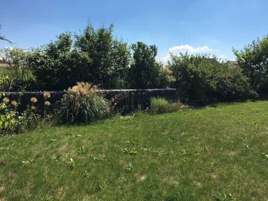 Bungalow zur Miete 1.500 € 3,5 Zimmer 110 m² 742 m² Grundstück frei ab sofort Oberwiesenacker Velburg 92355