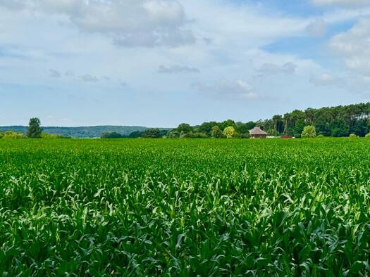 Land-/Forstwirtschaft zum Kauf 94.367 m² Warin Warin 19417
