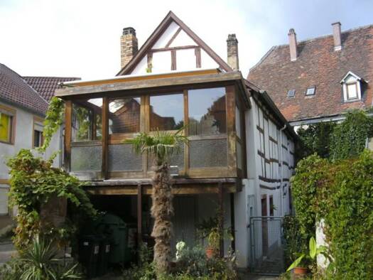 Wohnung zur Miete 1.500 € 11 Zimmer 200 m² Geschoss 1/2 frei ab sofort Marktplatz 4 Winnweiler 67722