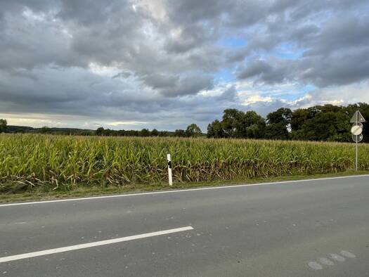 Land-/Forstwirtschaft zum Kauf 217.500 € 15.000 m² Grundstück Lette Coesfeld 48653