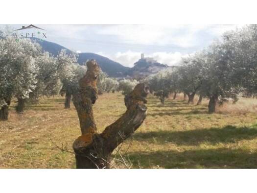Acker-/Waldstück zum Kauf 55.000 € Biar 03410