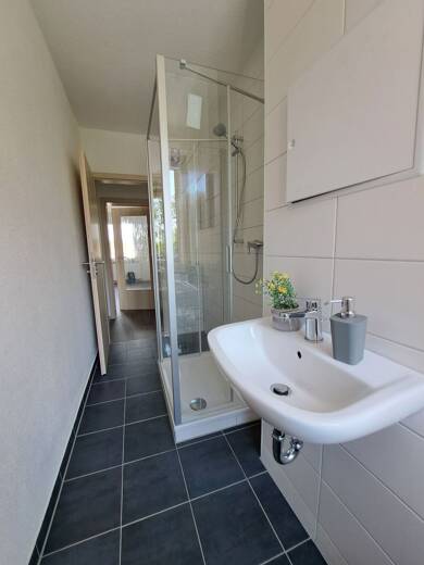 Wohnung zur Miete 326 € 2 Zimmer 48 m² 1. Geschoss frei ab sofort Ludwig-Jahn-Str. 20 Thalheim/Erzgebirge 09380