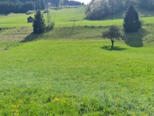 Grundstück zum Kauf 149.000 € 1.192 m² Grundstück Großraming 4463