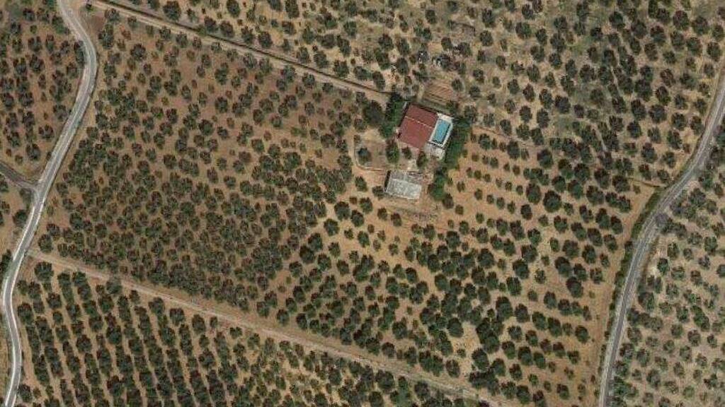 Gartenbau zum Kauf 500.000 € Carpino 71010