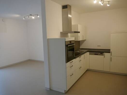 Wohnung zur Miete 650 € 2 Zimmer 55 m² Geschoss EG/2 frei ab 01.12.2025 Diespeck 91456