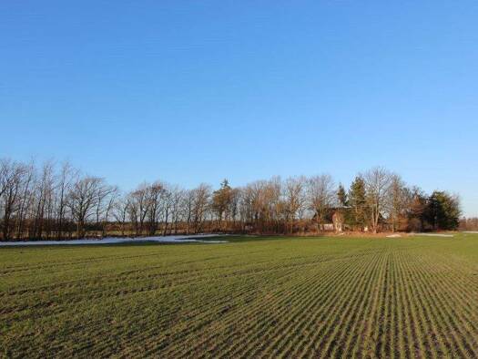 Einfamilienhaus zum Kauf 569.000 € 8 Zimmer 280 m² 4.519 m² Grundstück Humptrup 25923