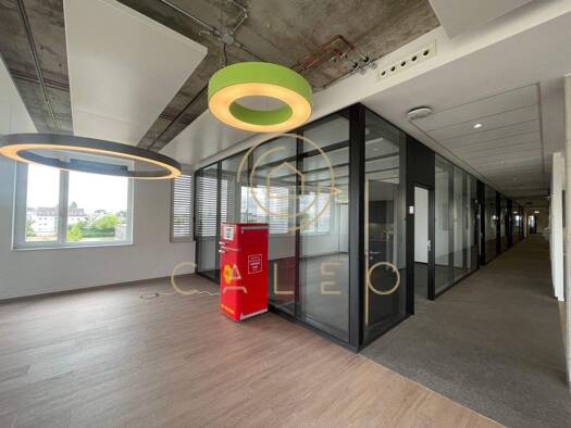 Bürofläche zur Miete provisionsfrei 13,50 € 5.900 m² Bürofläche teilbar ab 380 m² Industriegebiet Langen (Hessen) 63225