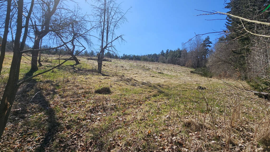 Grundstück zum Kauf Dlouhý Újezd 34701