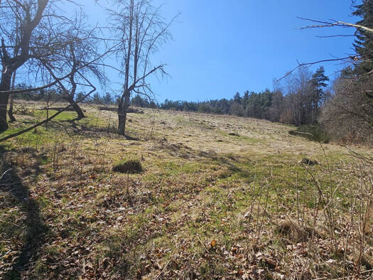 Grundstück zum Kauf Dlouhý Újezd 34701