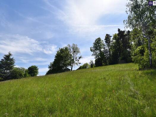 Grundstück zum Kauf 398.000 € 2.321 m² Grundstück Rannachstraße Andritz Graz 8046