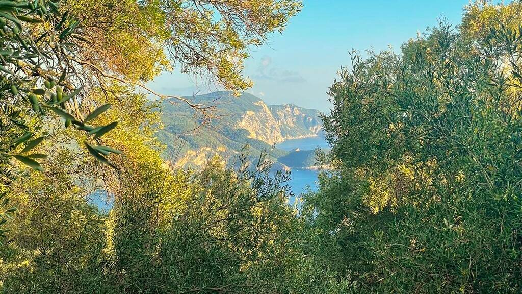 Land-/Forstwirtschaft zum Kauf 90.000 € 196 m² Grundstück Korfu