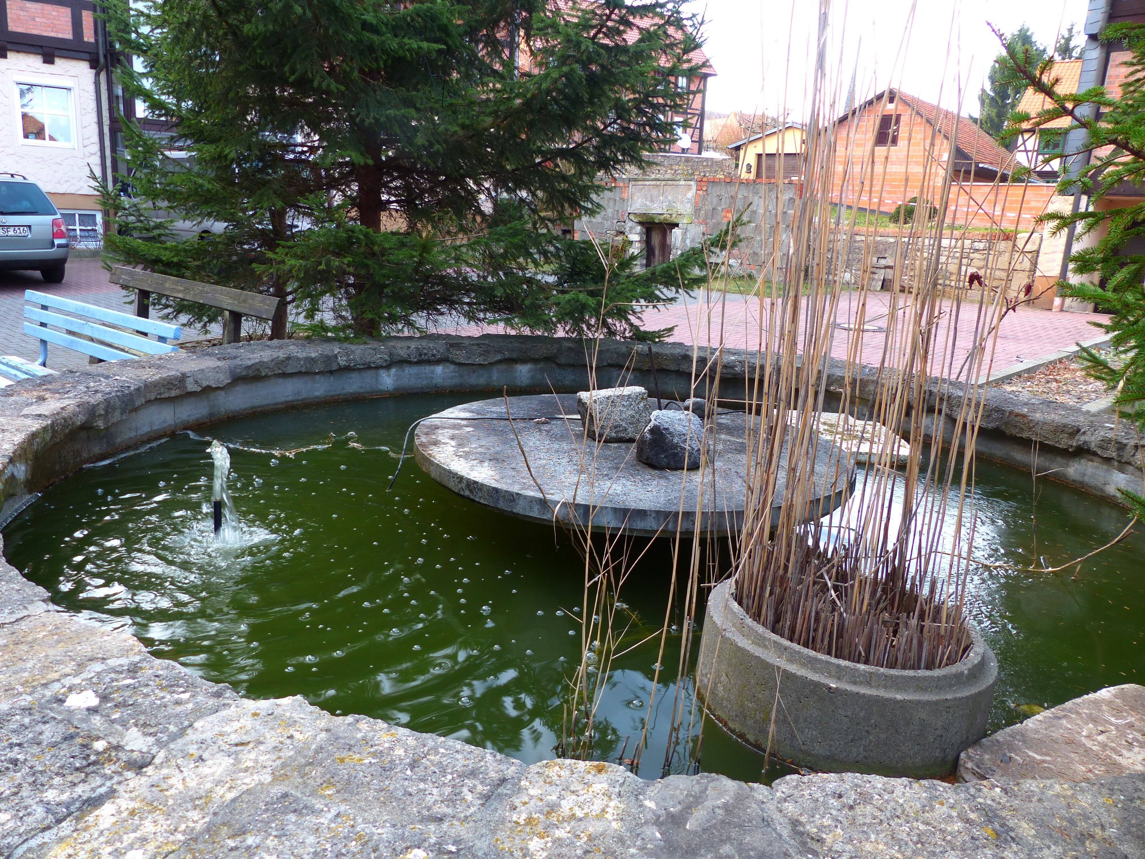 Immobilie in Huy - Lichtdurchflutete tolle Wohnung mit Harzblick - fantastische Rendite - Bild 3