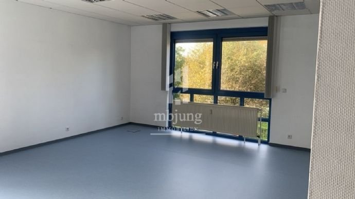 Bürofläche zur Miete provisionsfrei 400 € 100 m²<br/>Bürofläche Erbach Homburg 66424