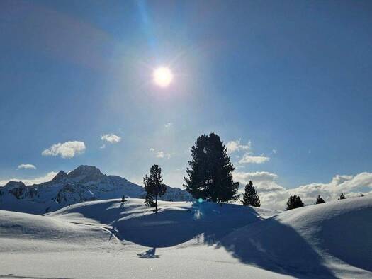 Terrassenwohnung zum Kauf 3 Zimmer 80 m² Umhausen 6441